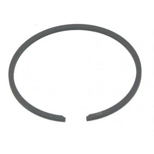 Fascia elastica segmento - fascia, elastica-segmento