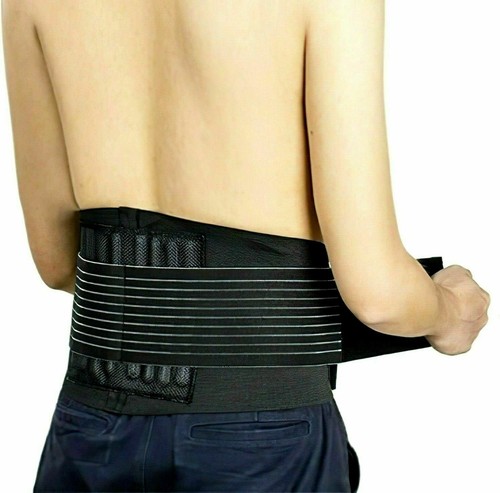 Fascia elastica lombare con - elastica,